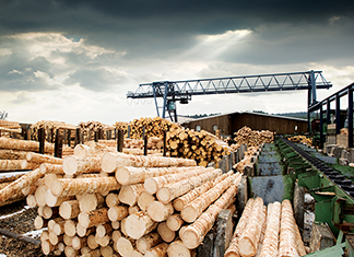 中国软木业兴起：国际贸易关系的典范