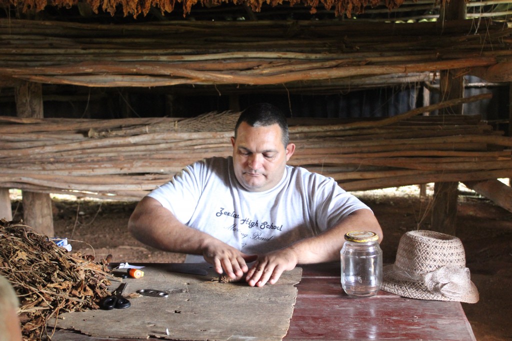 cigar rolling on tobacco farm